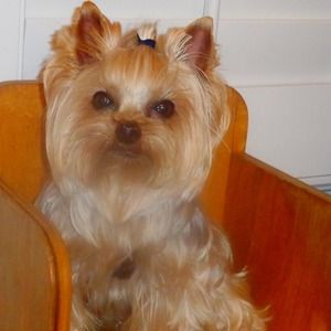 Meet your Posher, Marleen